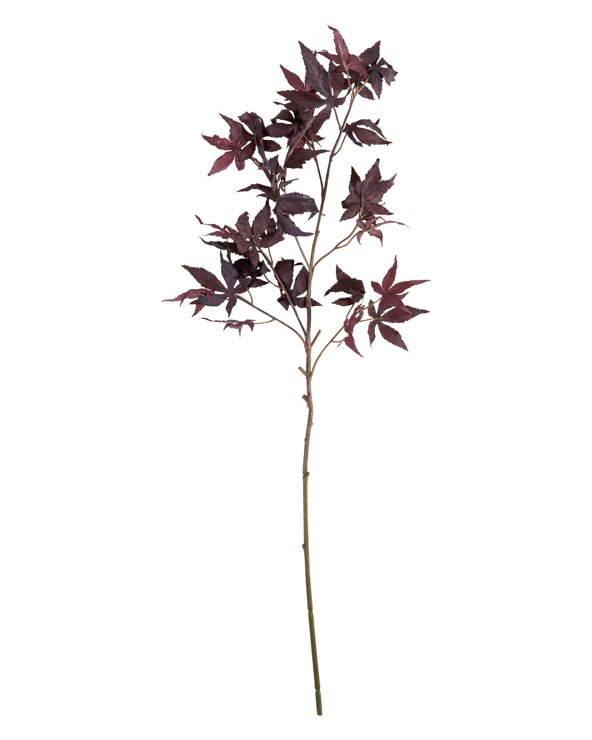 Artificial branch, HDMaple, Bordeaux in Burgundy präsentiert im Onlineshop von KAQTU Design AG. Kunstpflanze ist von House Doctor
