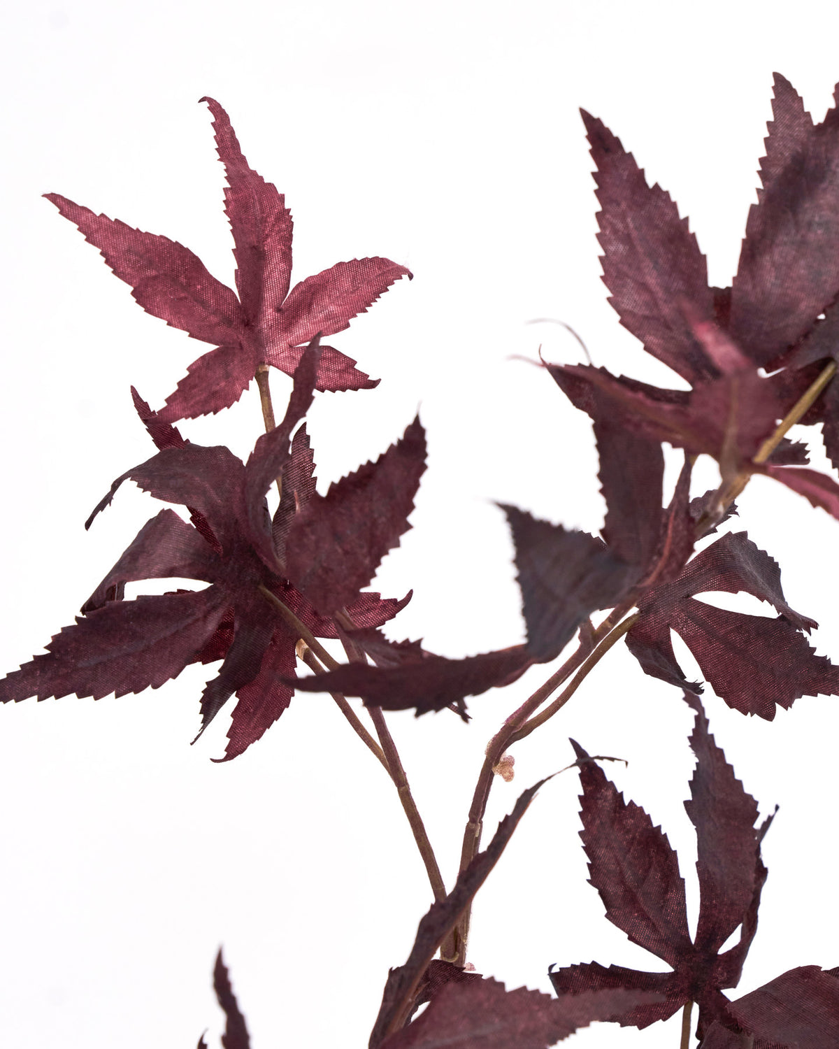 Artificial branch, HDMaple, Bordeaux in Burgundy präsentiert im Onlineshop von KAQTU Design AG. Kunstblume ist von House Doctor