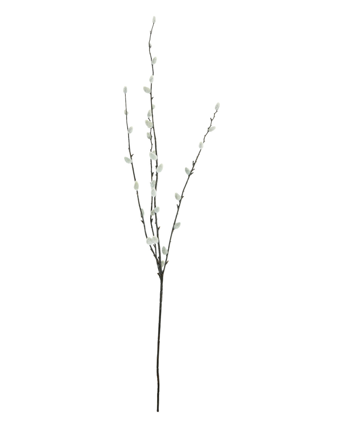 Artificial branch, HDSalix, Grün in Green präsentiert im Onlineshop von KAQTU Design AG. Kunstblume ist von House Doctor