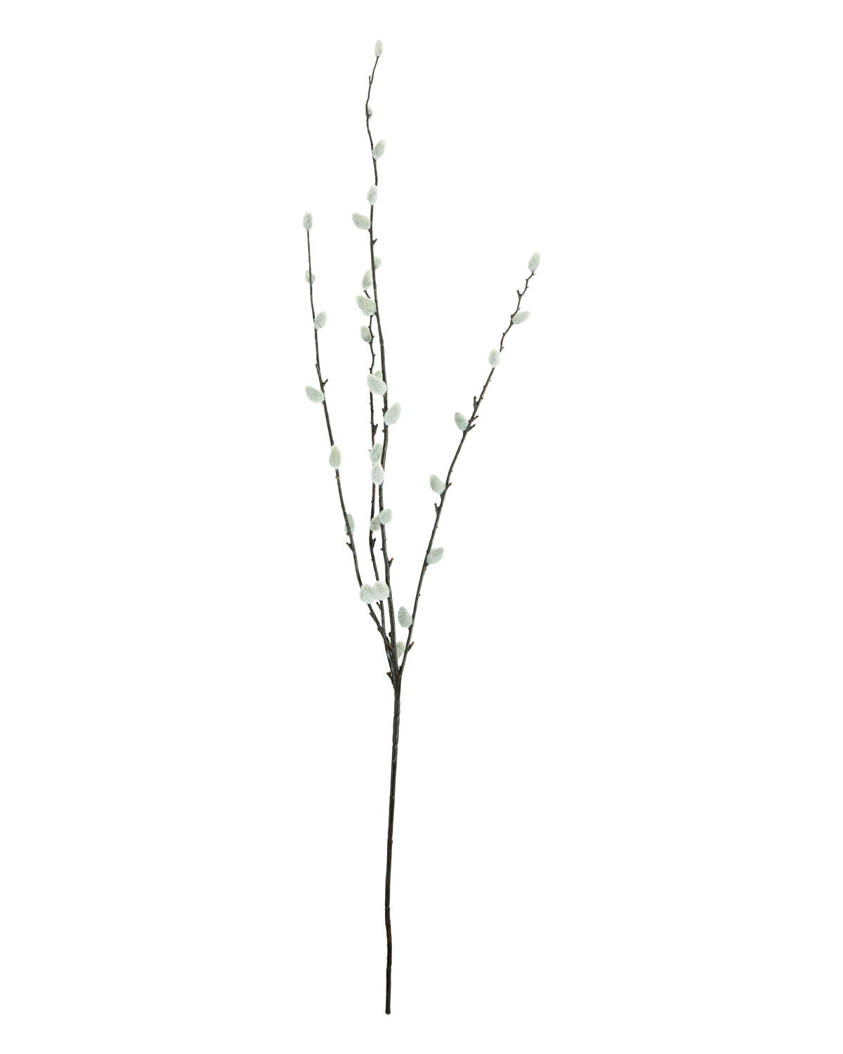 Artificial branch, HDSalix, Grün in Green präsentiert im Onlineshop von KAQTU Design AG. Kunstpflanze ist von House Doctor