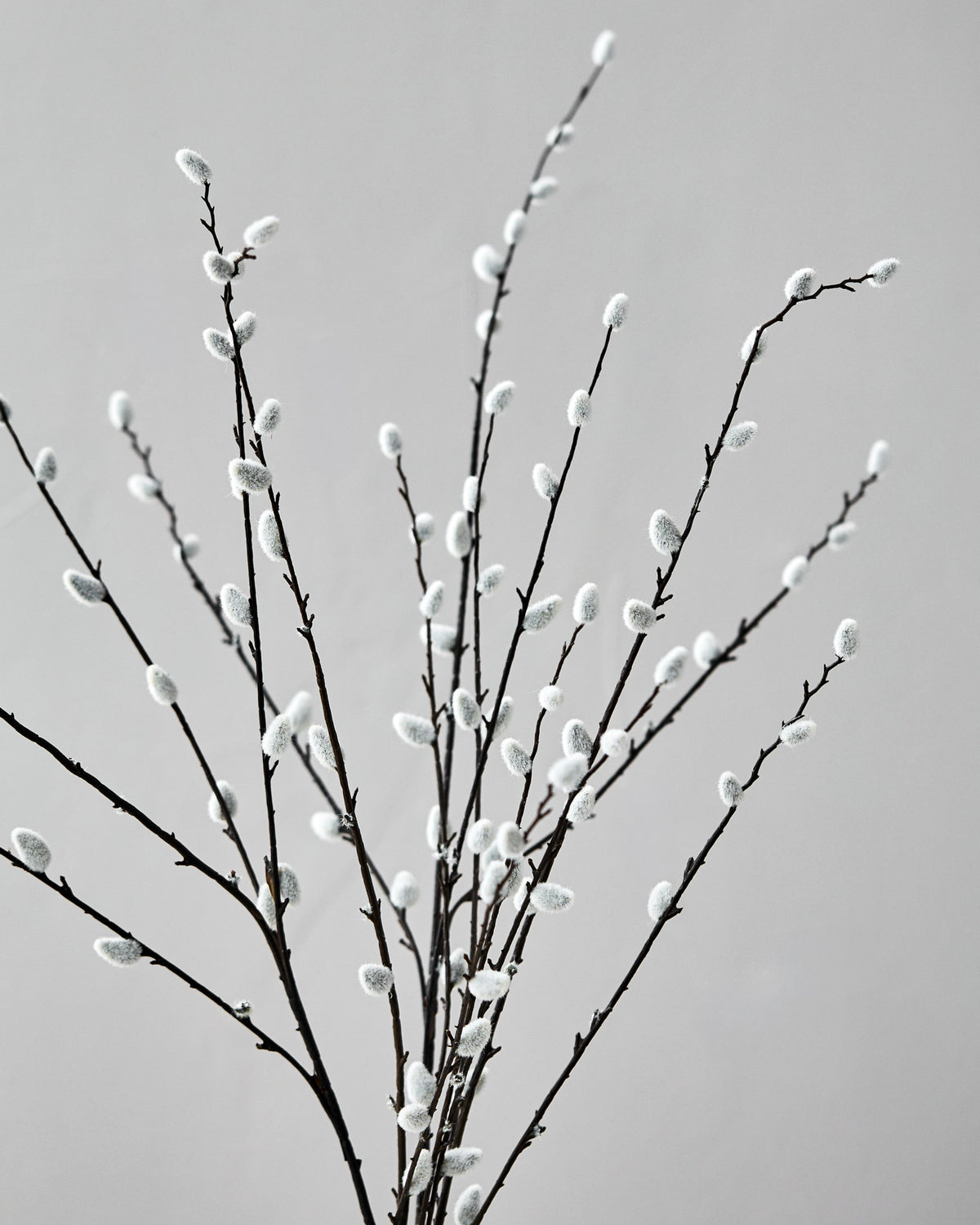 Artificial branch, HDSalix, Grün in Green präsentiert im Onlineshop von KAQTU Design AG. Kunstblume ist von House Doctor
