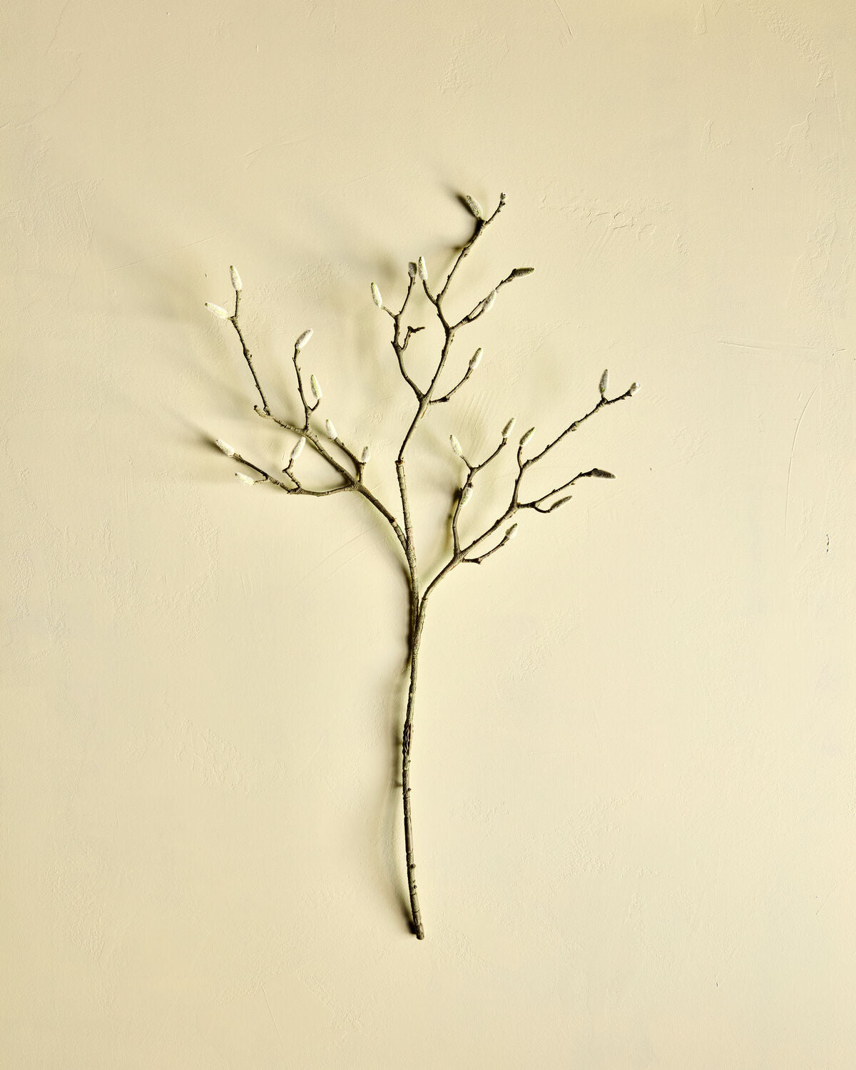 Elegante Kunstpflanze in Form eines weißen HDMagnolia-Zweigs von House Doctor, ideal für stilvolle Dekoration und Akzente im Wohnraum.