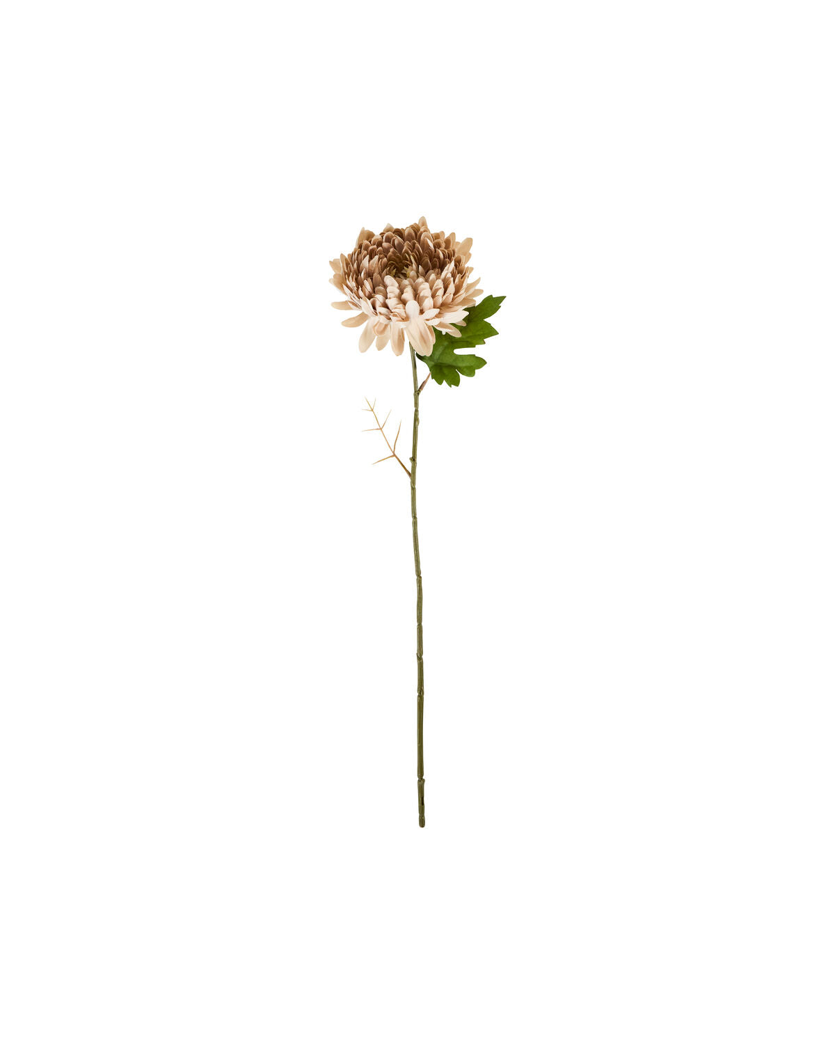 Artificial flower, HDChrysanthemum, Staubige Rose in Dusty Rose präsentiert im Onlineshop von KAQTU Design AG. Kunstpflanze ist von House Doctor