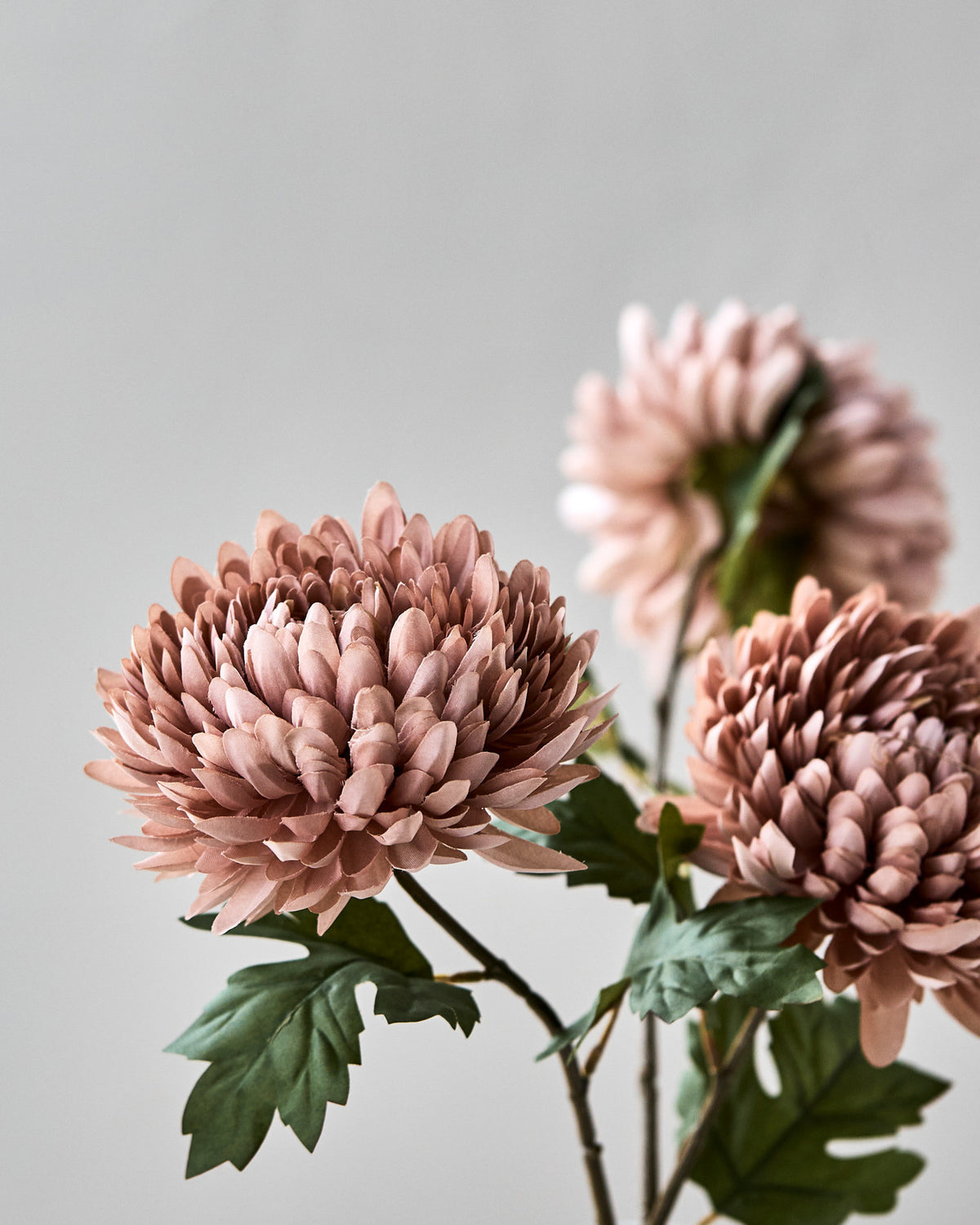 Artificial flower, HDChrysanthemum, Staubige Rose in Dusty Rose präsentiert im Onlineshop von KAQTU Design AG. Kunstblume ist von House Doctor