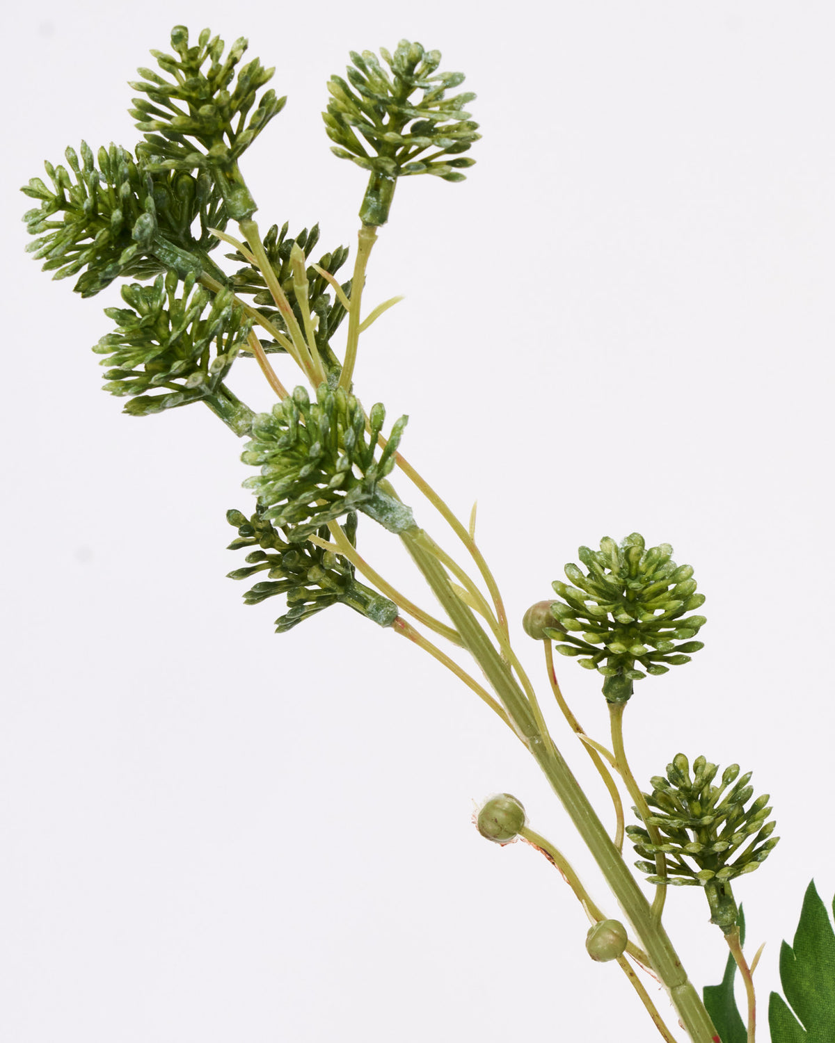 Artificial branch, HDSedum, Grün in Green präsentiert im Onlineshop von KAQTU Design AG. Kunstblume ist von House Doctor