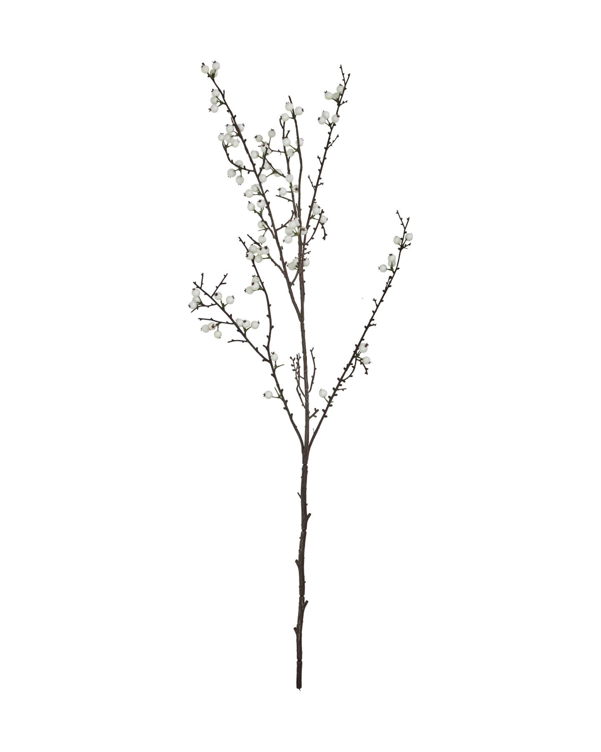 Artificial branch, HDDecor, Weiß in White präsentiert im Onlineshop von KAQTU Design AG. Kunstblume ist von House Doctor