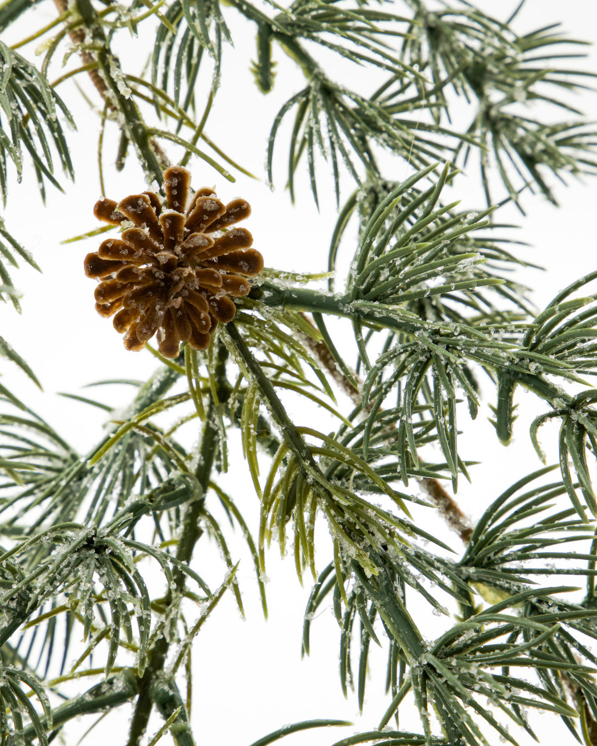 Girlande, HDPine, Grün in Green präsentiert im Onlineshop von KAQTU Design AG. Weihnachtszubehör ist von House Doctor;Girlande, HDPine, Grün in Green präsentiert im Onlineshop von KAQTU Design AG. Weihnachtszubehör ist von House Doctor;Girlande, HDPine, Grün in Green präsentiert im Onlineshop von KAQTU Design AG. Weihnachtszubehör ist von House Doctor