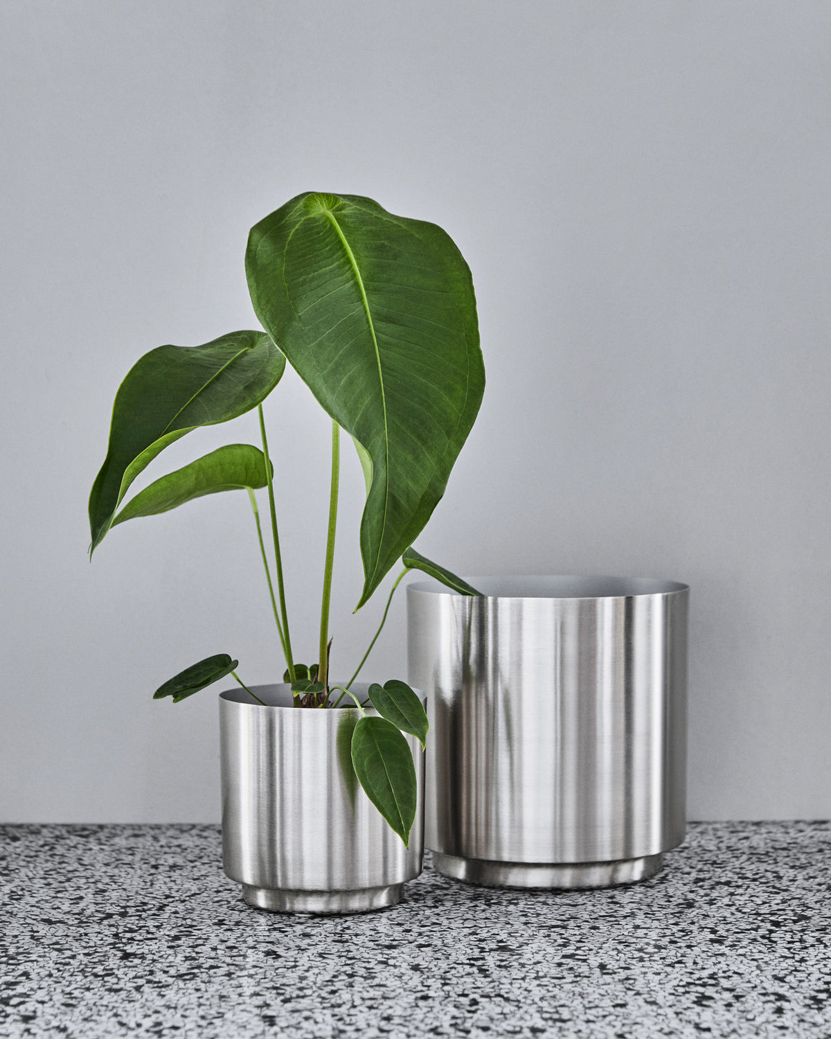 Blumentopf, HDBailey, Silber-Finish in Silberfarben präsentiert im Onlineshop von KAQTU Design AG. Blumentopf ist von House Doctor