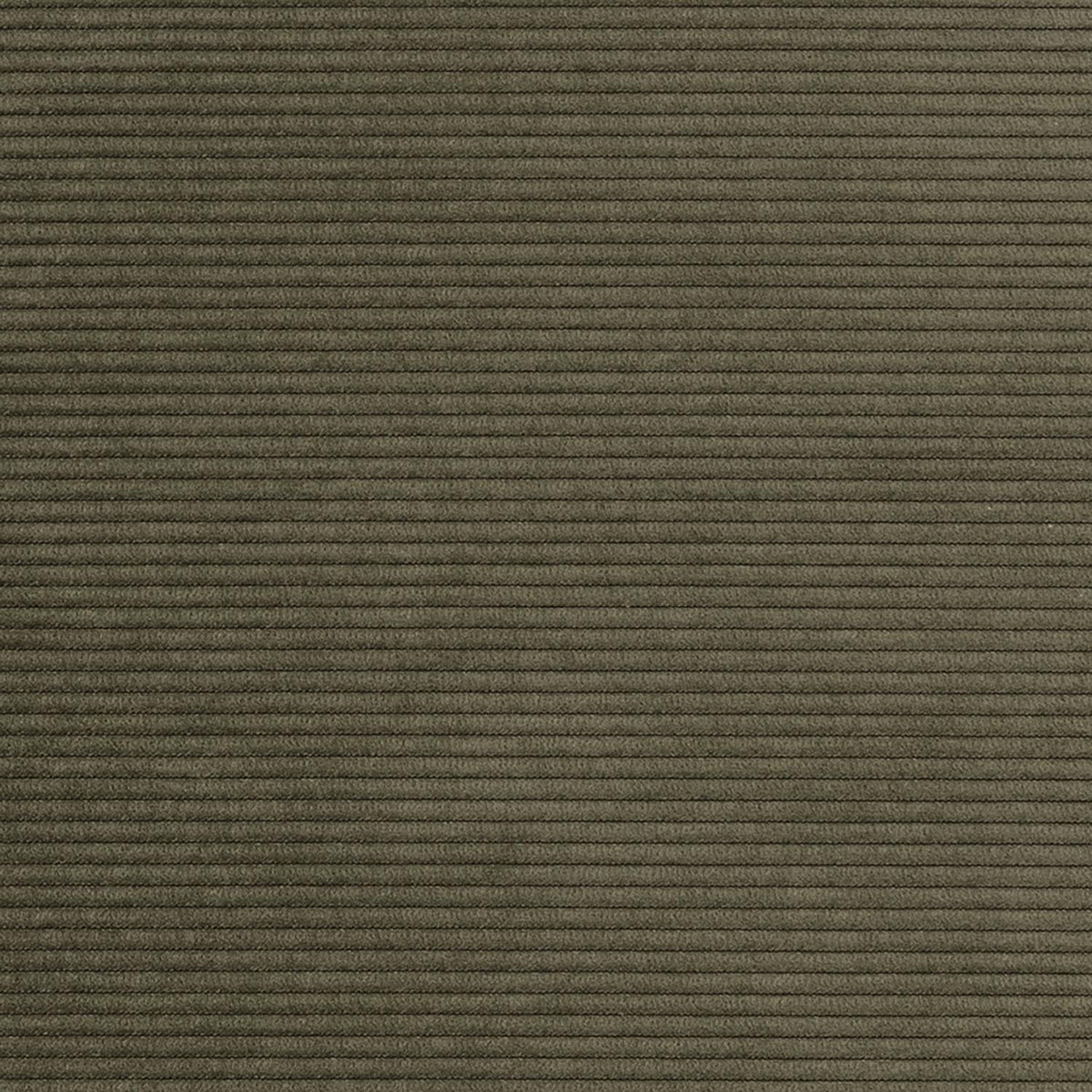 Minimum Bettsofa 140 Sharp Plus Cover Soft Spring in 316 Cordufine Pine Green präsentiert im Onlineshop von KAQTU Design AG. Bettsofa ist von Innovation Living