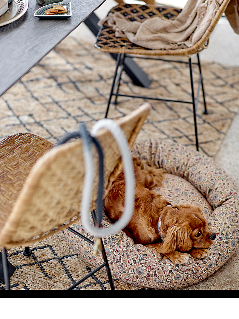 Vittoria Dog Cushion, Braun, Baumwolle in Brown präsentiert im Onlineshop von KAQTU Design AG. Hundebedarf ist von Bloomingville