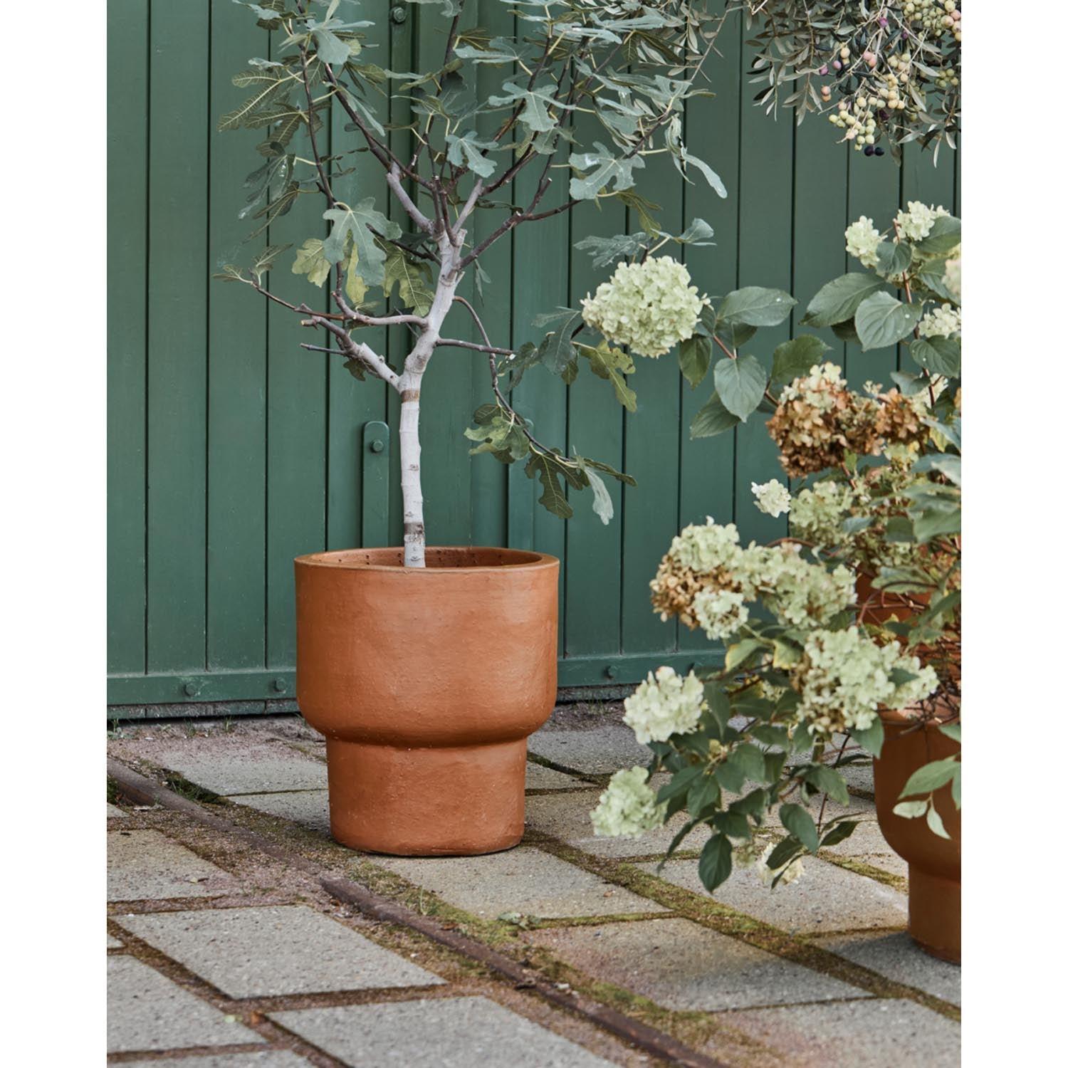 Eleganter Blumentopf in antikem Braun von HDTerra, perfekt für die Verschönerung Ihres Außenbereichs und für Pflanzenliebhaber.