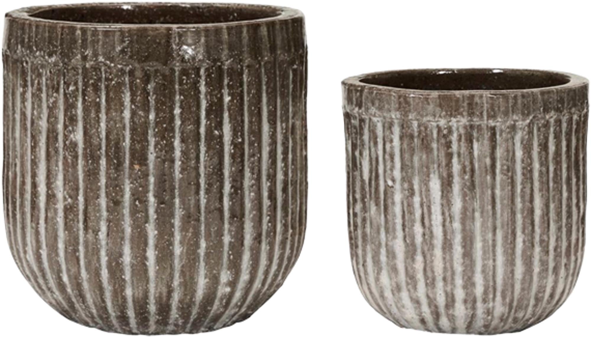 Boîtes à fleurs, pharaon