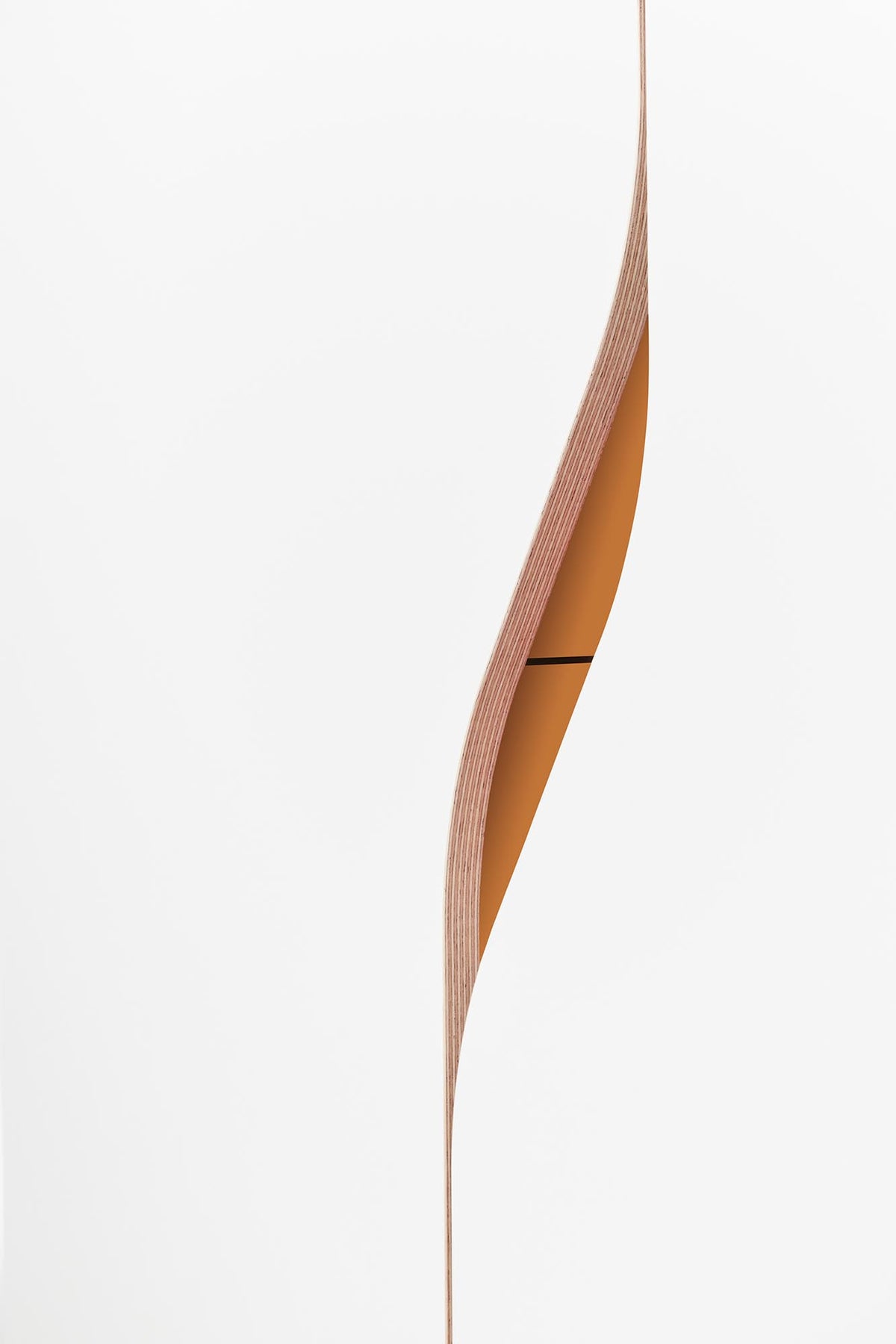 Plane Schrank V1 in Weiss / Tizianrot präsentiert im Onlineshop von KAQTU Design AG. Drehtürenschrank ist von Müller Möbelwerkstätten