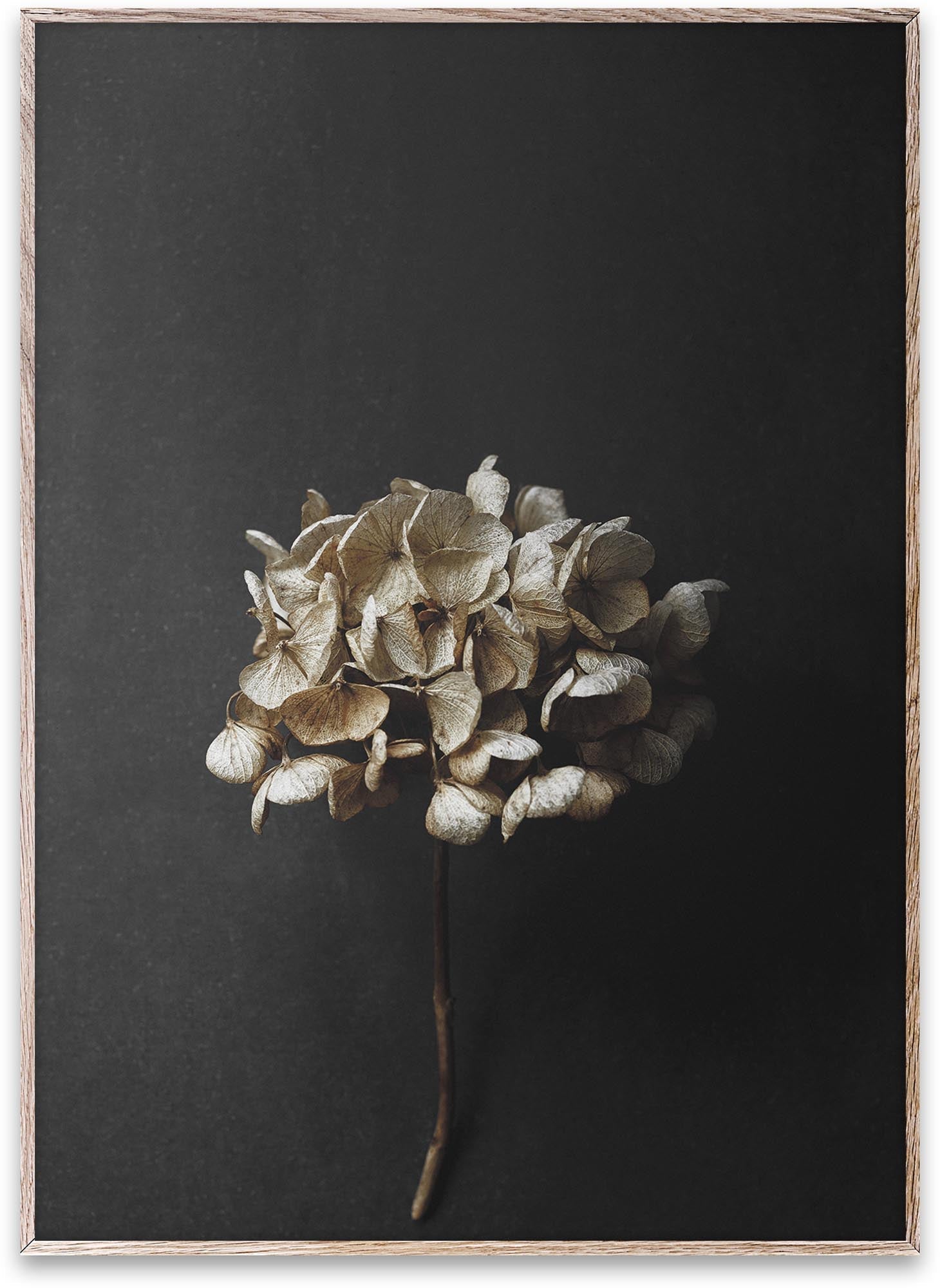 Still Life 04: Elegante Kunst für inspirierende Wohnambiente.