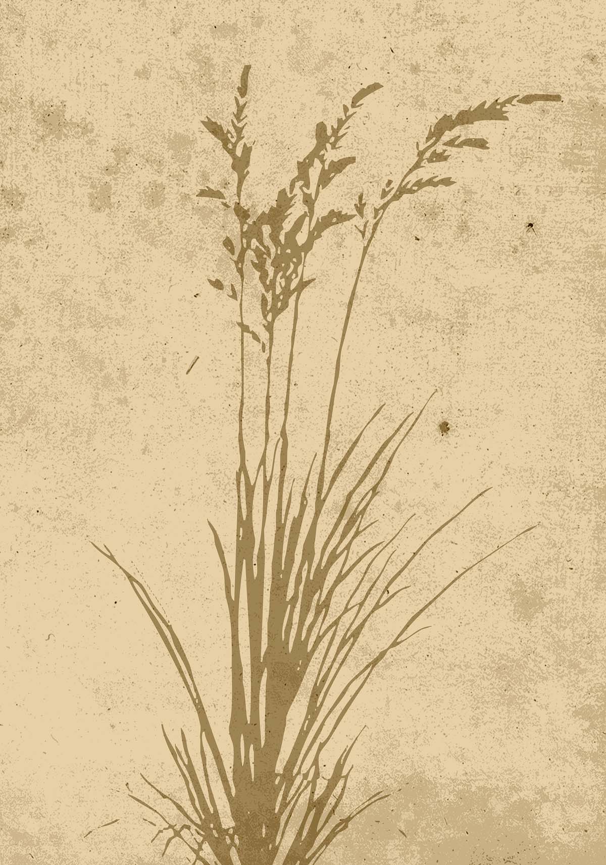 Plant Art Poster - KAQTU Design