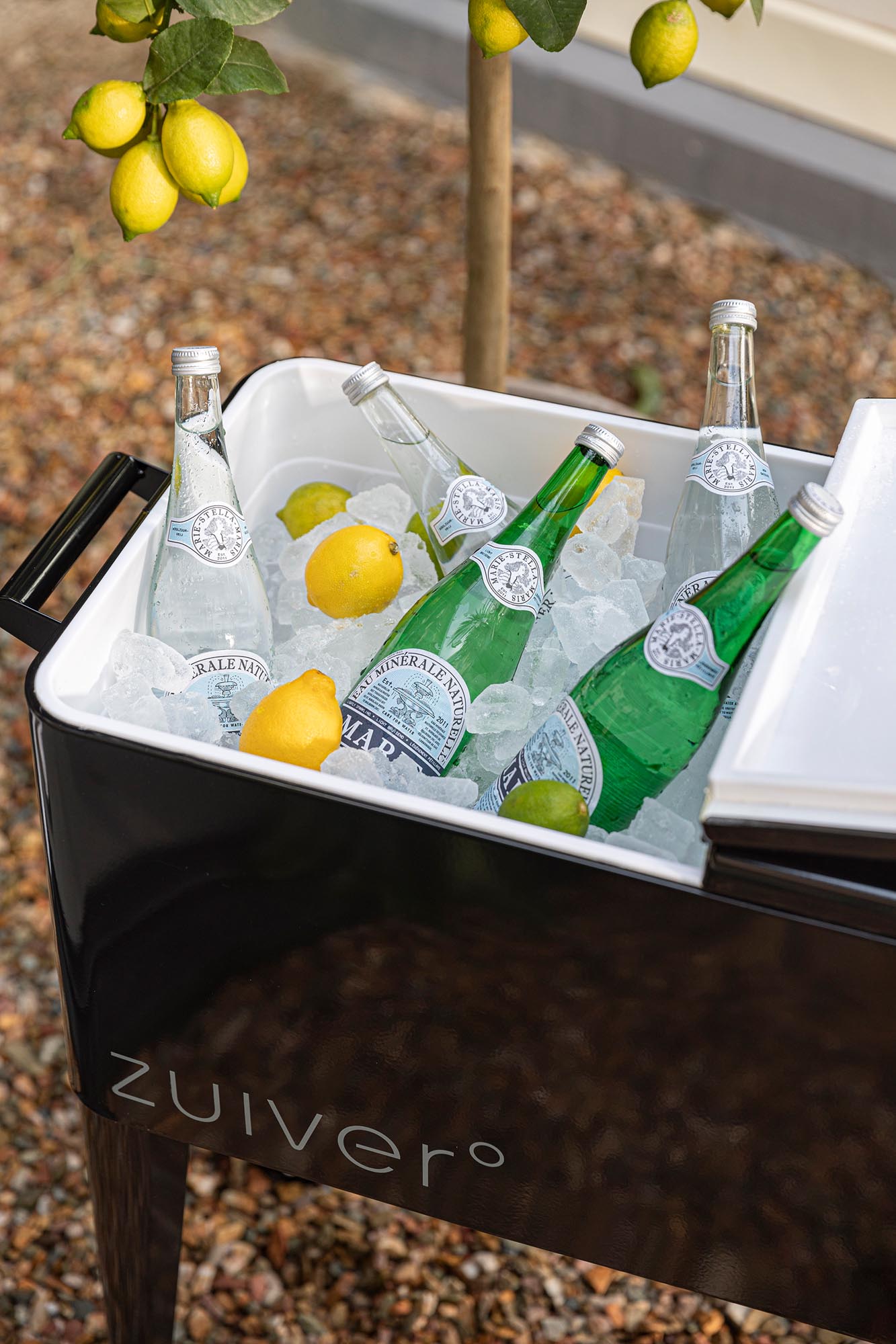cooler Be Cool