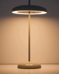 Portable table lamp Porte made of light green metal