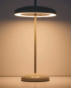 Portable table lamp Porte made of light green metal