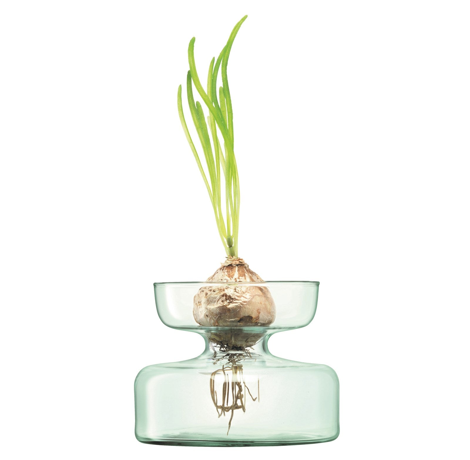 Canopy Vase Zwiebelpflanzer H10cm - recy. Optik - KAQTU Design