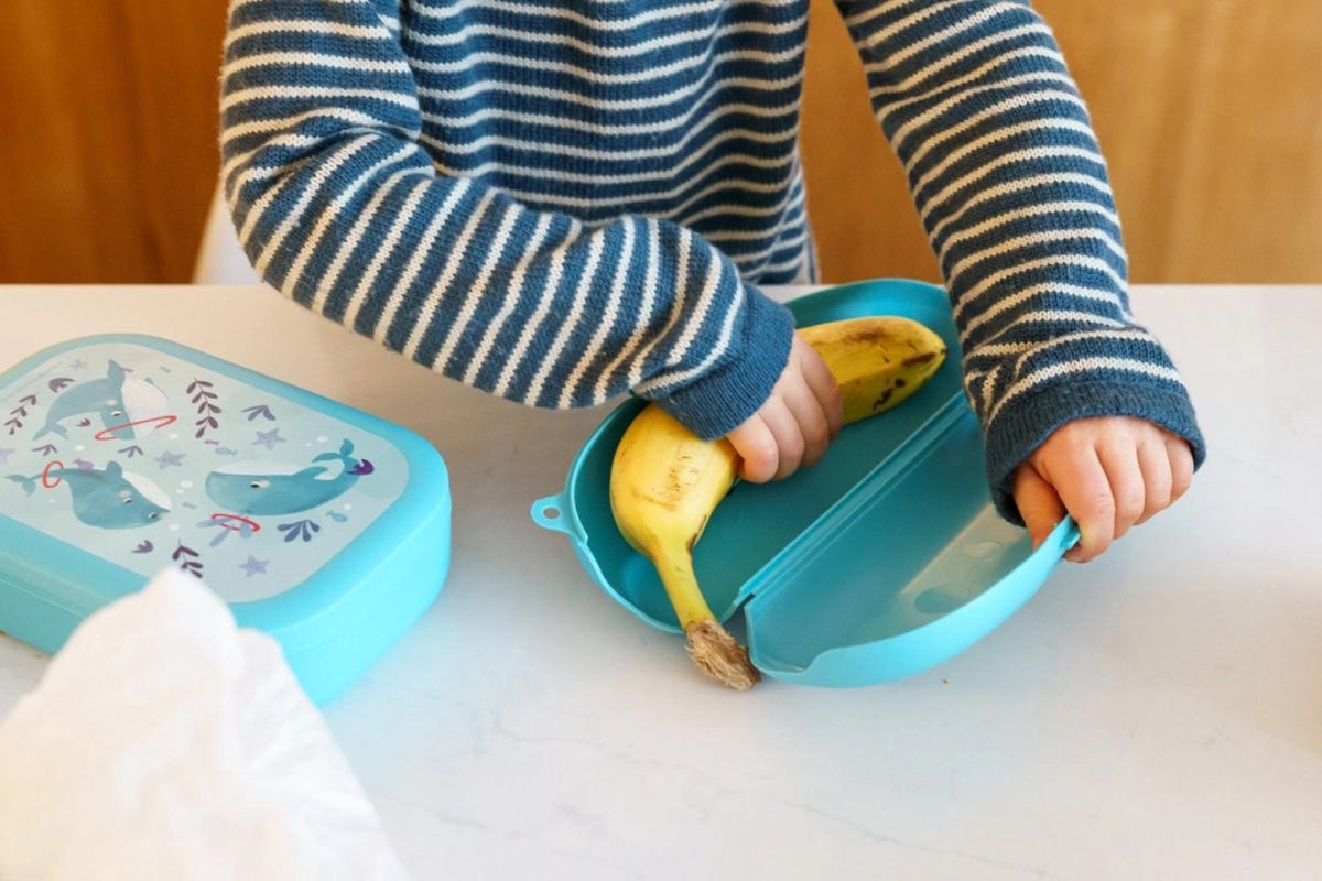 Sealife Bananen Box Wal  223x90x50  Hellblau in Blau präsentiert im Onlineshop von KAQTU Design AG. Snackbox ist von Amuse