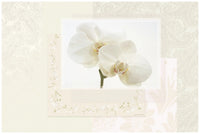 Chachemire White Tischset, 45x30cm