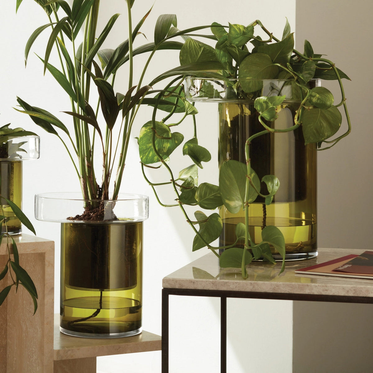 Pflanzentopf Balcony selbstwässernd H35 Ø26 cm klar/olivgrün in Grün präsentiert im Onlineshop von KAQTU Design AG. Vase ist von LSA