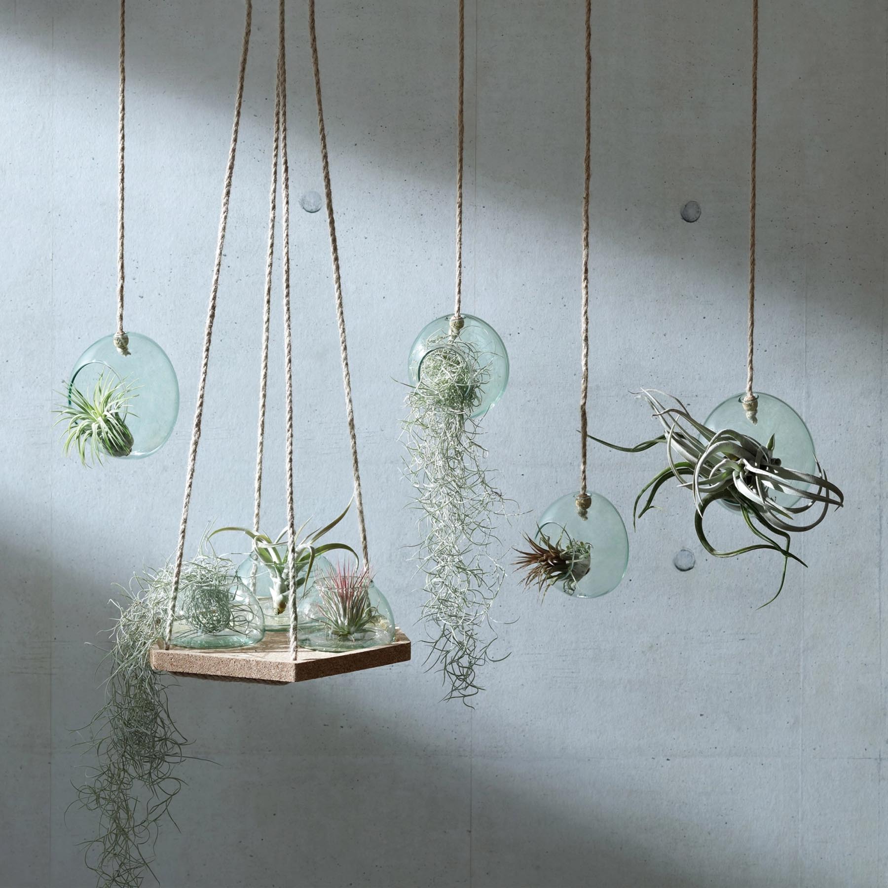 Eleganter Canopy Hängetopf aus recyceltem Glas mit einem Durchmesser von 10 cm, ideal für kreative Pflanzenarrangements und stilvolle Dekoration.
