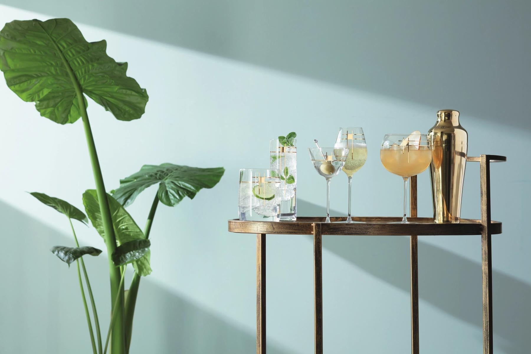 Elegantes 4er Set Century Martiniglas (195ml) mit goldenen Akzenten, ideal für stilvolle Cocktails, präsentiert von LSA.