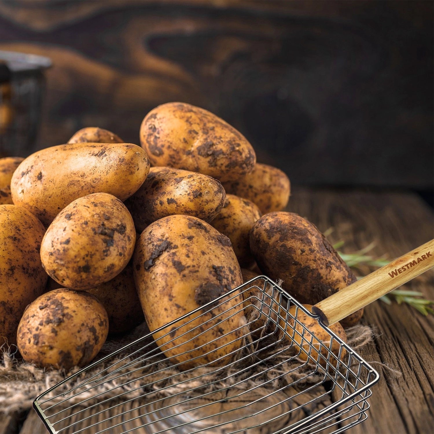 Robuste Kartoffelschaufel aus Stahl von Westmark, ideal zum Servieren und Portionieren von Kartoffeln und anderen Beilagen in der Küche.