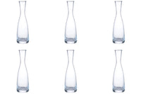 Set di 6 Budelle 2dl calibrati R