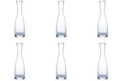 Set di 6 Budelle 2dl calibrati R