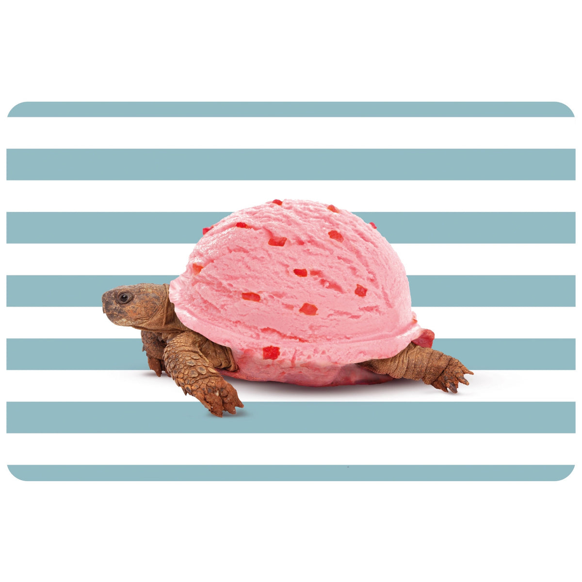 Tischset beidseitig Schildkröte PVC in Mehrfarbig präsentiert im Onlineshop von KAQTU Design AG. Tischset ist von Easy Life