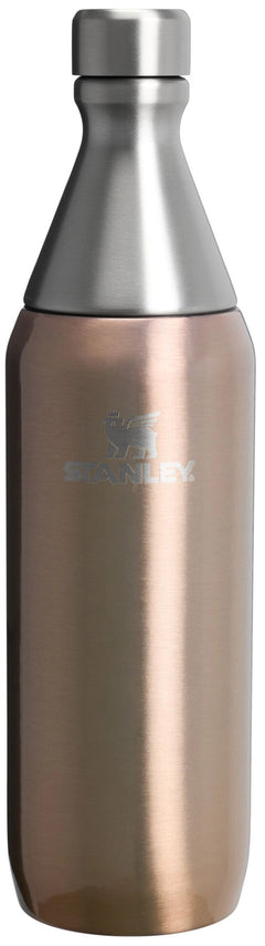 Bouteille All Day Slim 0,6l brillant or pâle