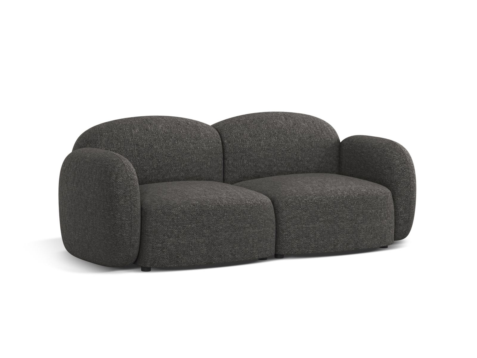 Elegantes 2-Sitzer Sofa Blair in Dunkelgrau, ideal für moderne Wohnräume, von Micadoni, stilvoll und komfortabel.