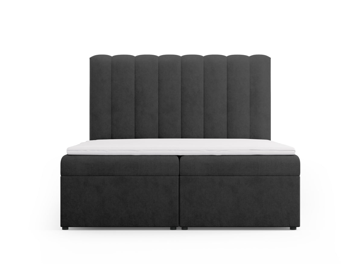 Kelp Boxspringbett Set 160cm: Headboard + Box Springs/Matratze + Matratze Topper in Anthracite-Moly präsentiert im Onlineshop von KAQTU Design AG. Bett ist von Micadoni