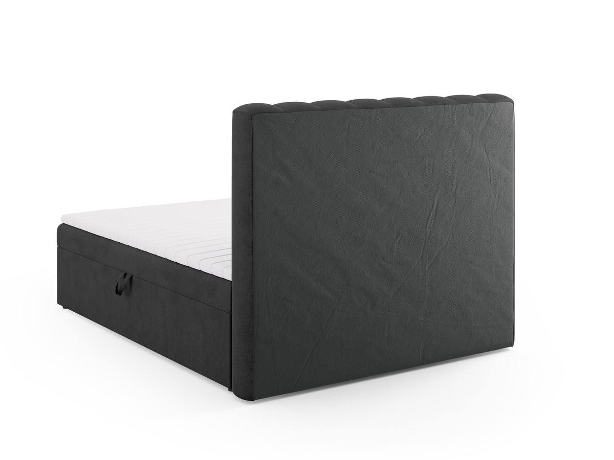 Kelp Boxspringbett Set 160cm: Headboard + Box Springs/Matratze + Matratze Topper in Anthracite-Moly präsentiert im Onlineshop von KAQTU Design AG. Bett ist von Micadoni