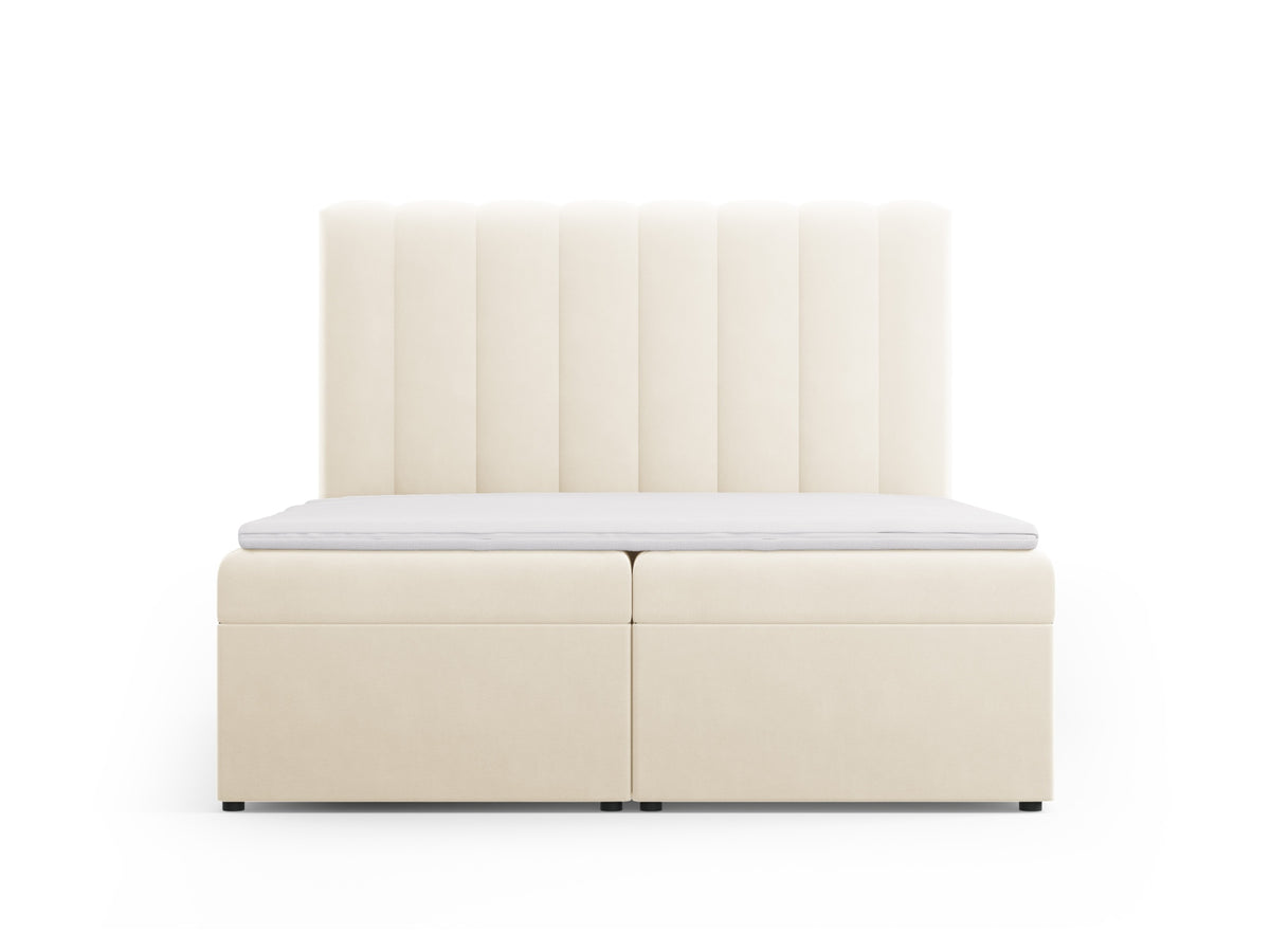 Kelp Boxspringbett Set 160cm: Headboard + Box Springs/Matratze + Matratze Topper in Light Beige-Bluvel präsentiert im Onlineshop von KAQTU Design AG. Bett ist von Micadoni