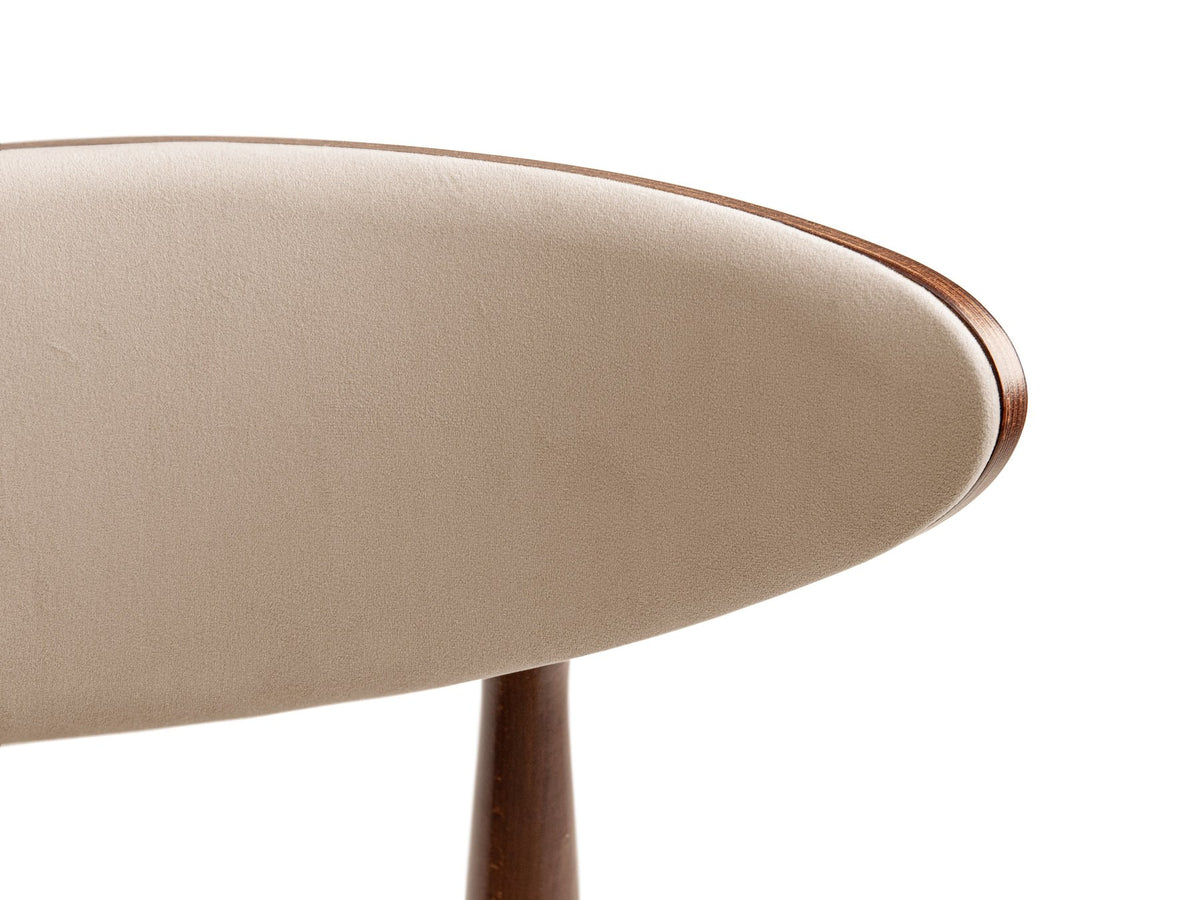 Samtiger Stuhl Rina von Micadoni in Mandel beige mit rundem gepolstertem Rücken und Beinen aus Nussbaumholz, Ansicht von vorne.