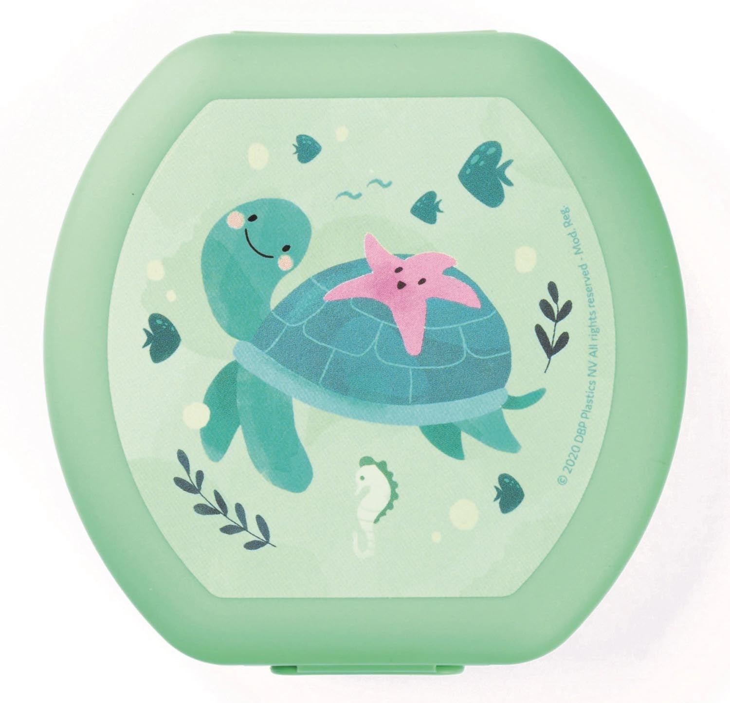 Eine hellgrüne Schildkröten-Cookiebox von Amuse, 112x110x40 mm, ideal für Kekse, mit niedlichem Sealife-Design.