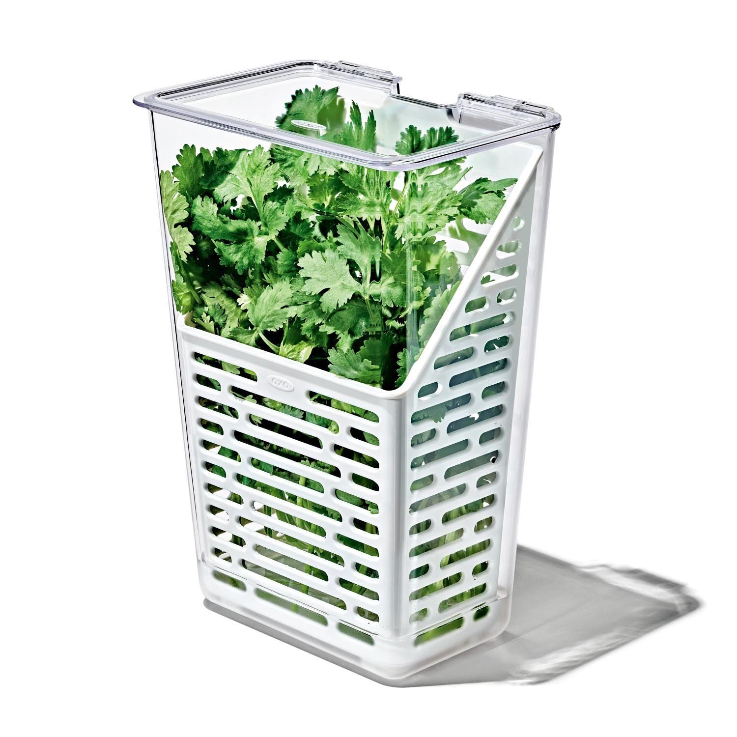 Die OXO Good Grips Frischhaltebox bewahrt Kräuter frisch. Masse: 15.24x11.4x28.7cm. Ideal für längere Haltbarkeit und Frische.