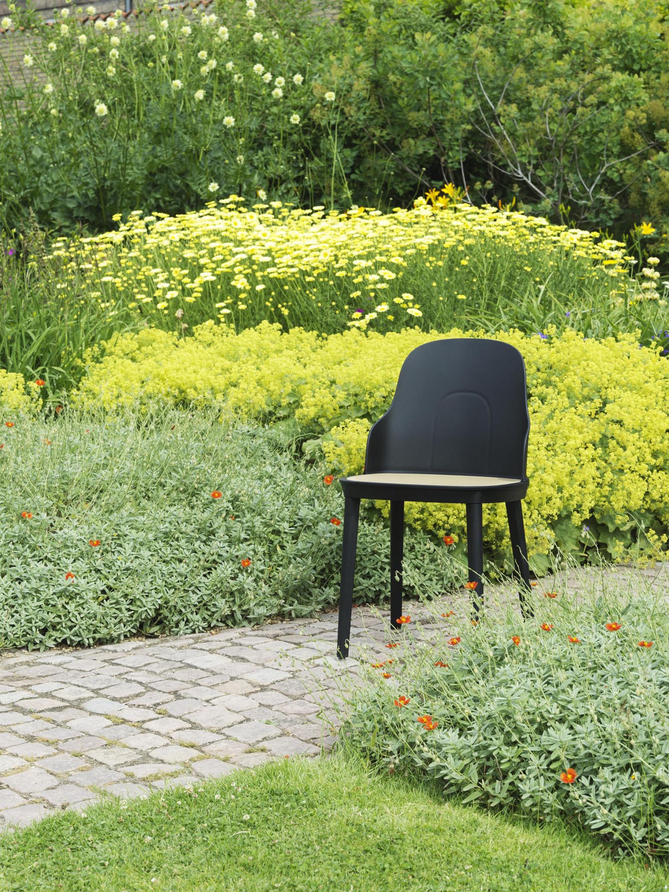 Allez Chair