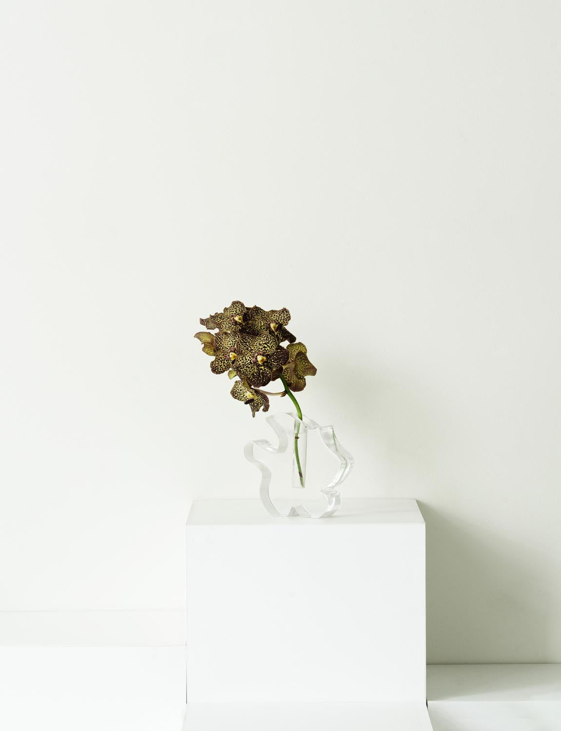 Draw Vase in Transparent präsentiert im Onlineshop von KAQTU Design AG. Vase ist von Normann Copenhagen