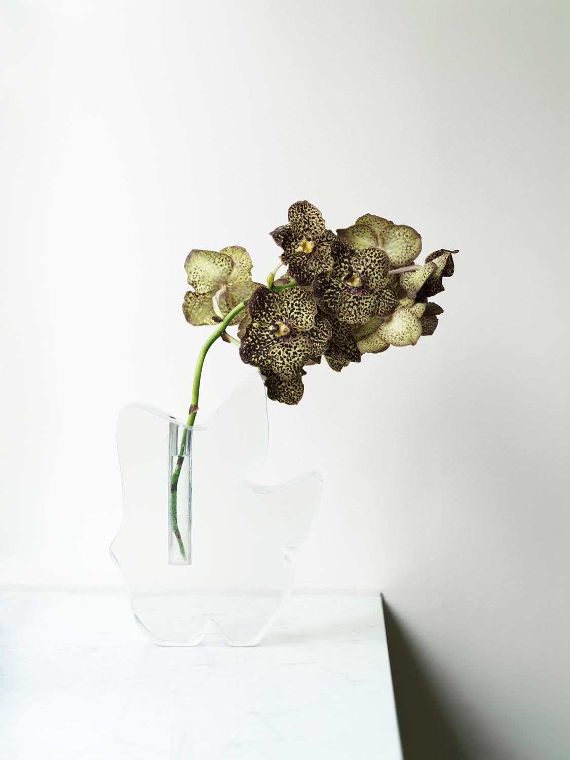 Draw Vase in Transparent präsentiert im Onlineshop von KAQTU Design AG. Vase ist von Normann Copenhagen