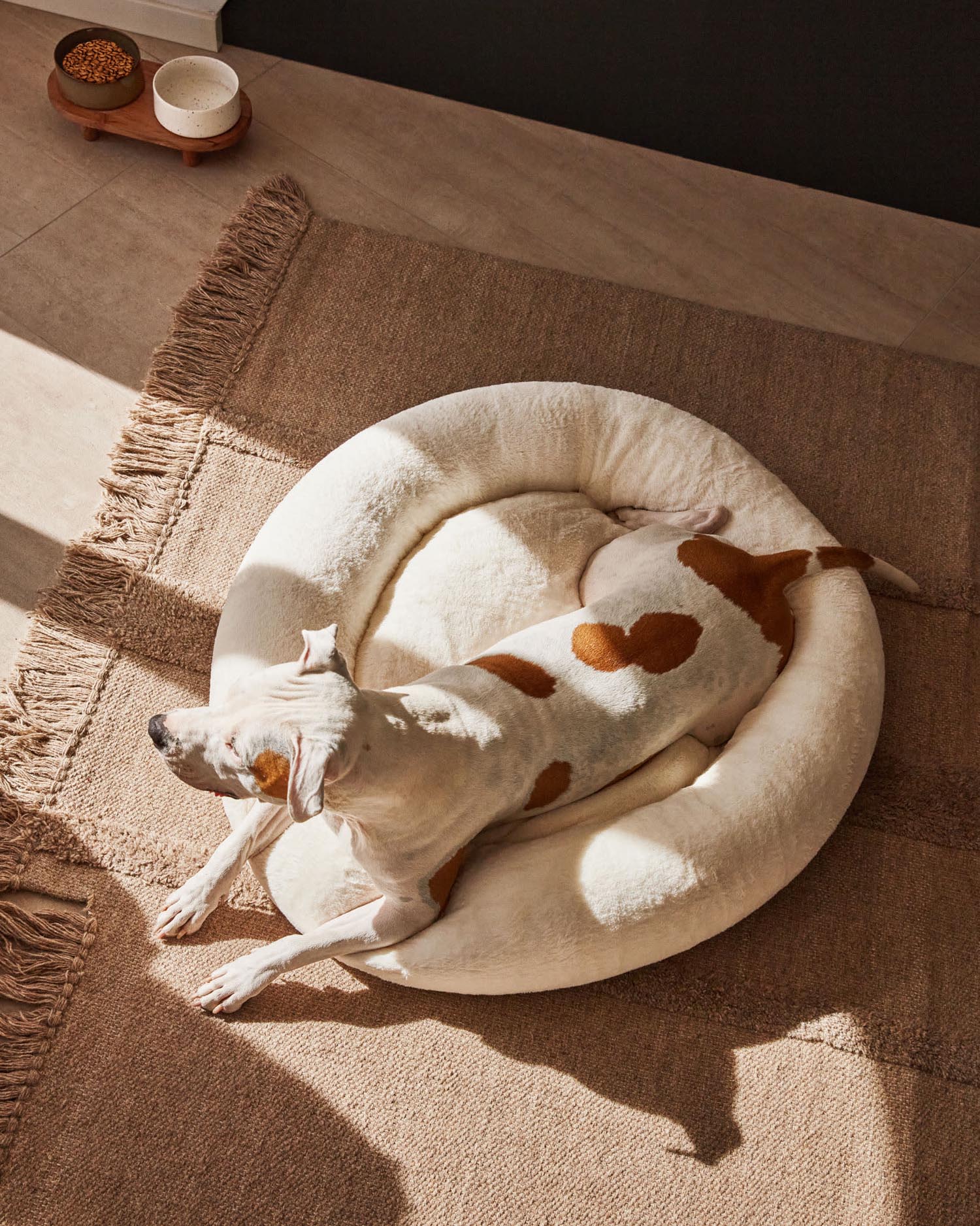 Set aus 2 Futternäpfen mit Gestell für Haustiere Dumbi weiss und braun Ø 14 cm FSC 100%