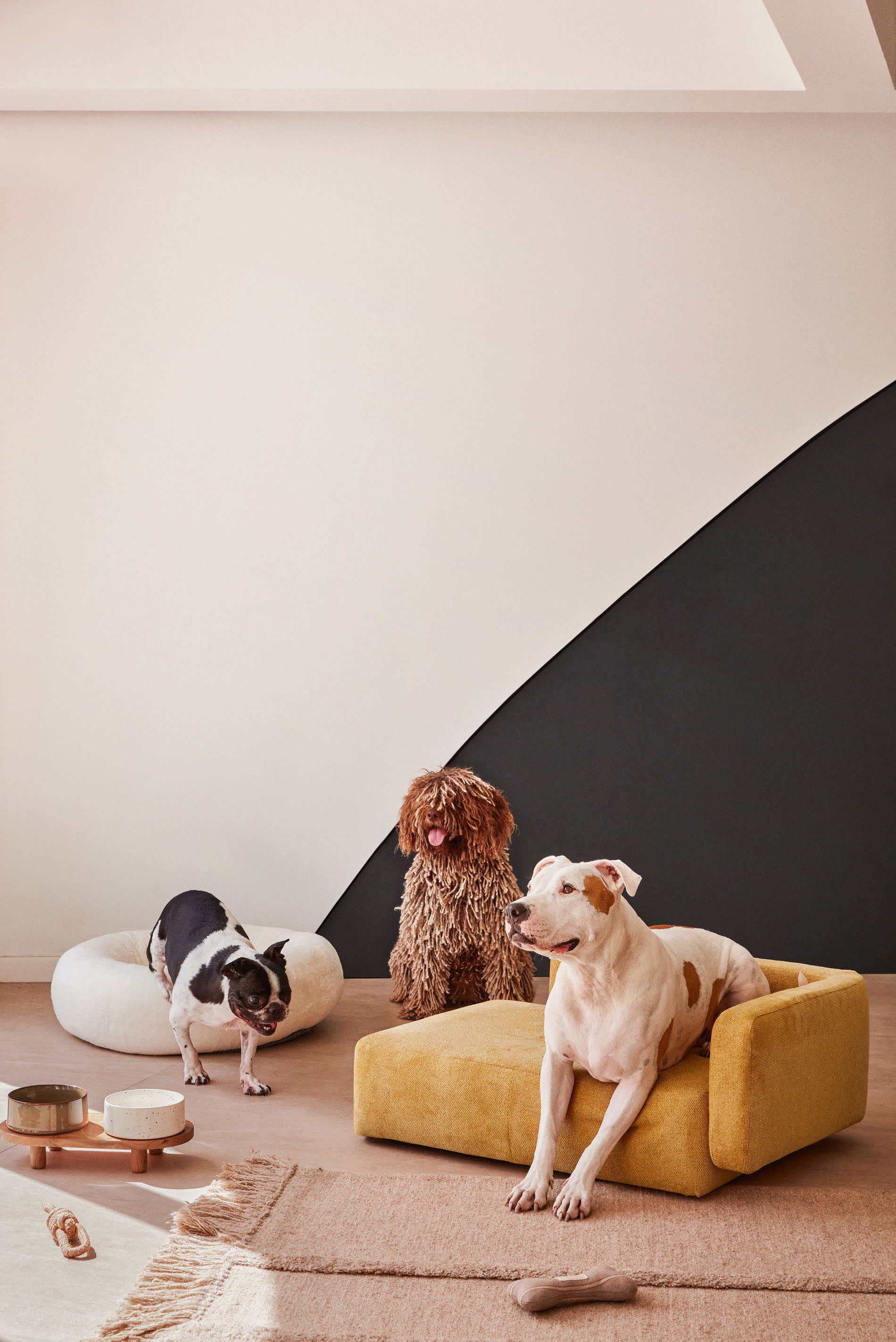 Dumbi set of 2 pet bowls <tc>wEIS</tc> Ø 14 cm