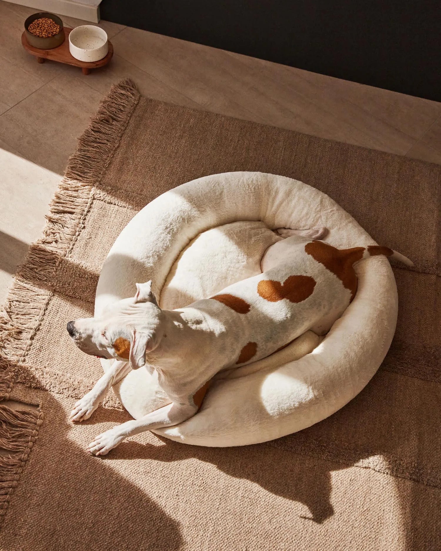 Das Dumbi Set von Kave Home umfasst zwei stilvolle weiße Futternäpfe (Ø 14 cm), ideal für Haustiere, mit funktionalem und ästhetischem Design.