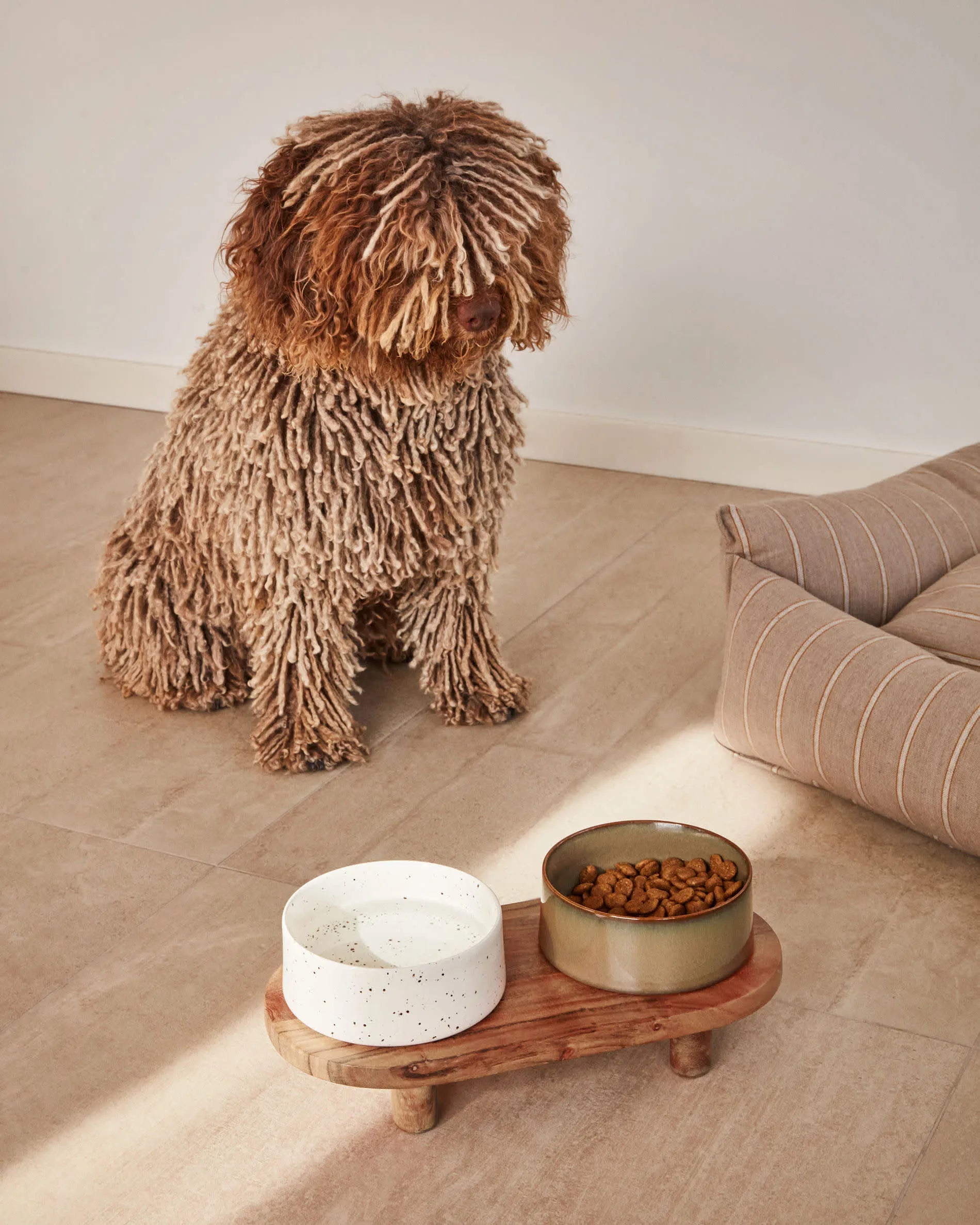 Das Dumbi Set von Kave Home bietet zwei elegante weiße Futternäpfe (Ø 14 cm), perfekt für Haustiere, mit modernem und praktischem Design.