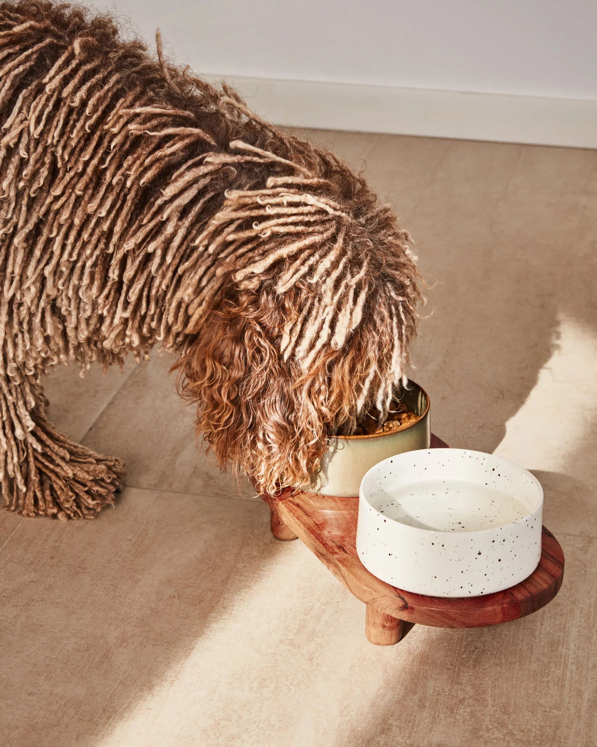 Das Dumbi Set von Kave Home bietet zwei elegante weiße Futternäpfe (Ø 14 cm), perfekt für Haustiere, mit modernem und praktischem Design.