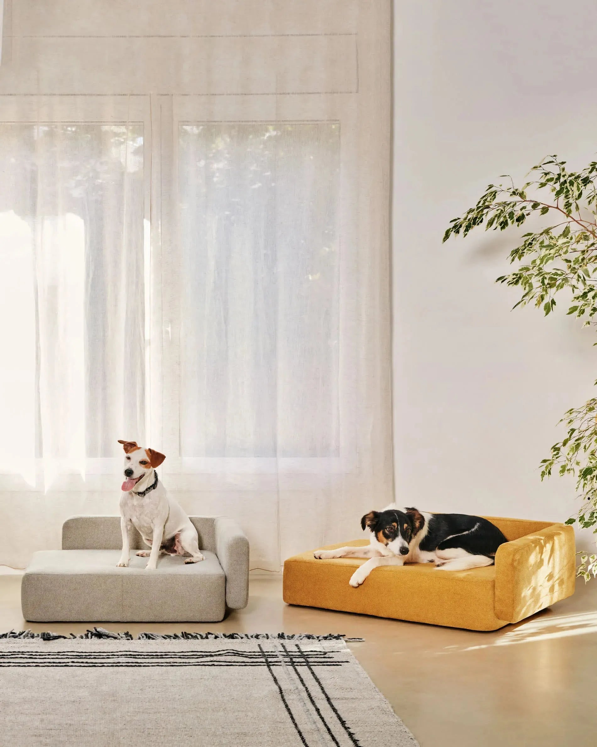 Elegantes, beiges Haustierbett (63x80 cm) von Kave Home: Komfort, Stil und pflegeleichtes Design für Ihr Haustier.