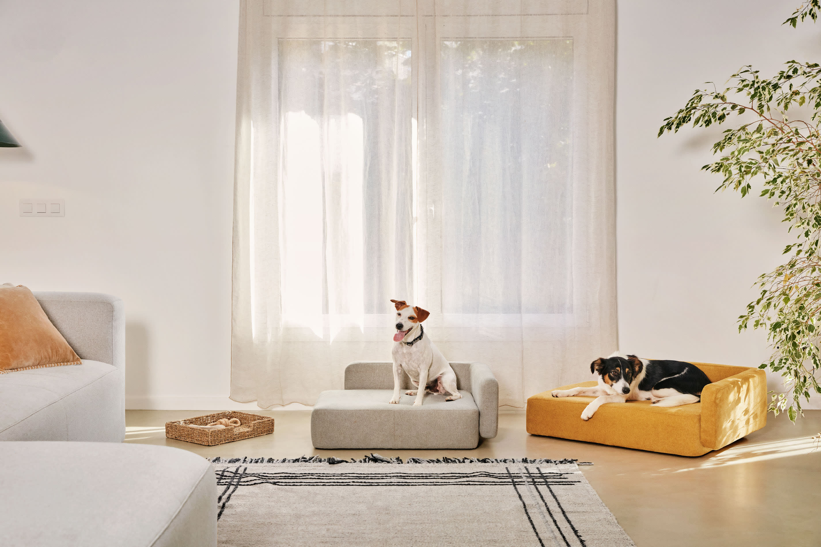 Bowie cover for large pet bed mustard yellow 73 x 98 cm